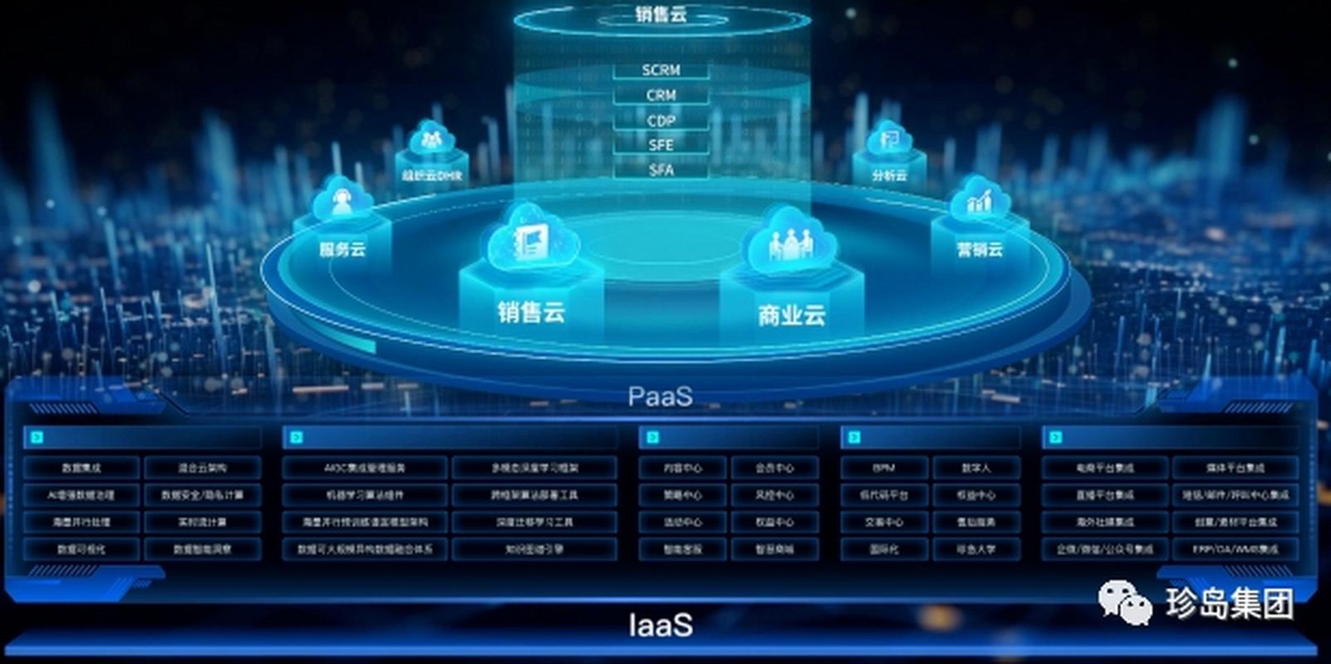 卿欣云网络